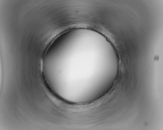 X0000090750013200708101735