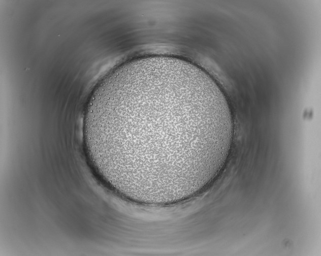 X0000090750014200708101735