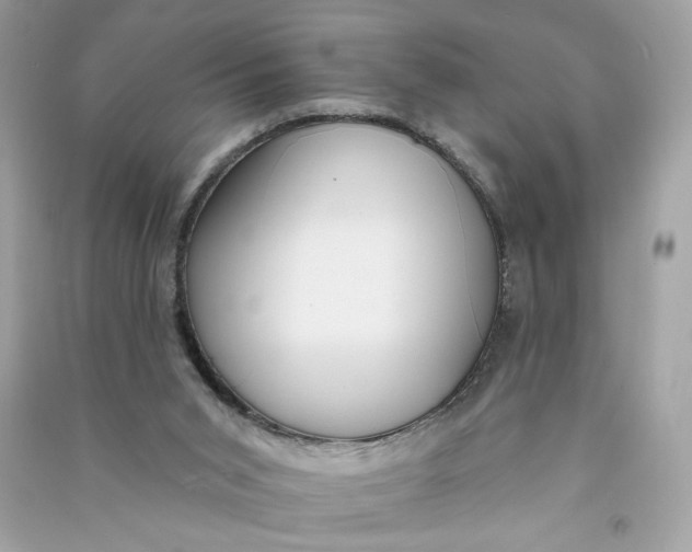 X0000090750015200708101735
