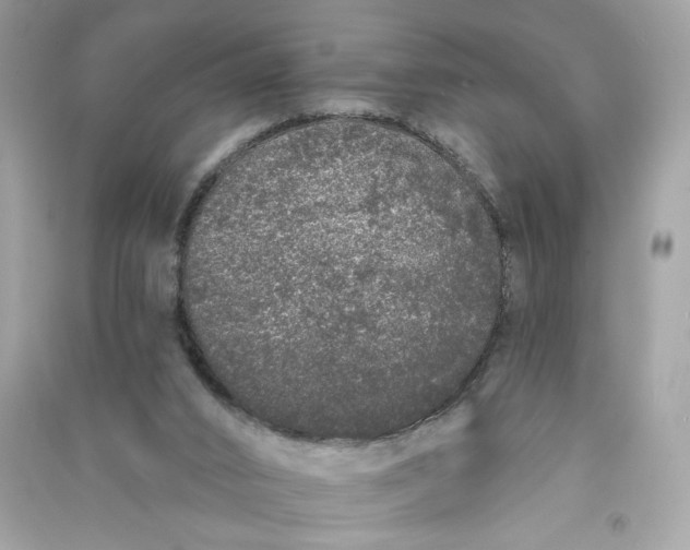 X0000090750016200708101735