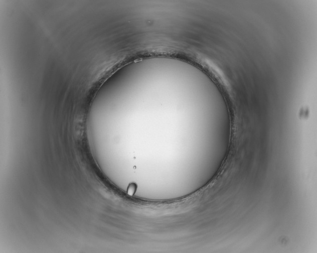 X0000090750017200708101735