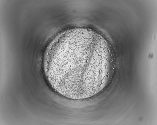 X0000090750018200708101735