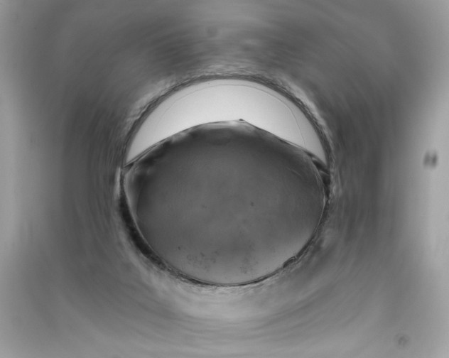 X0000090750019200708101735