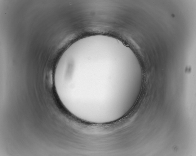 X0000090750020200708101735