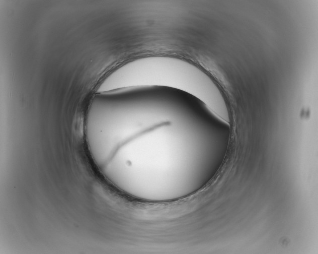 X0000090750021200708101735