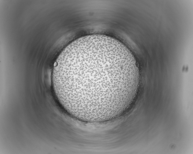 X0000090750022200708101735