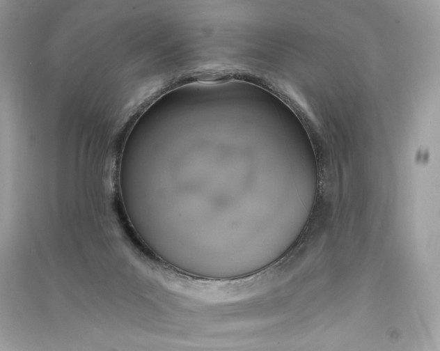 X0000090750023200708101735