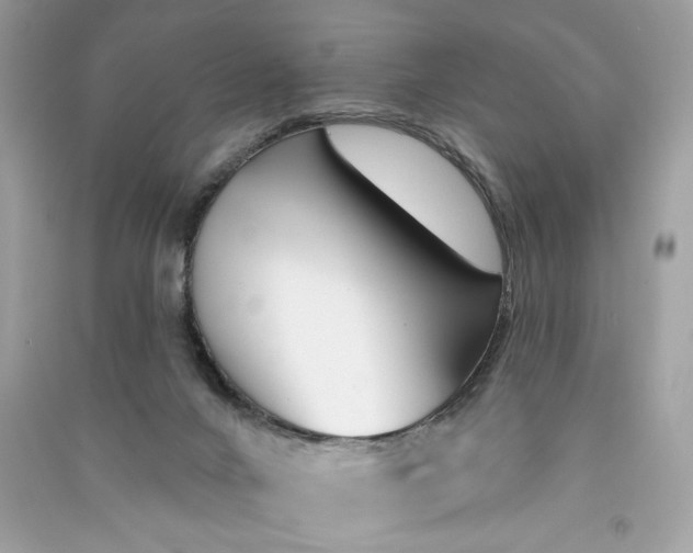 X0000090750024200708101735
