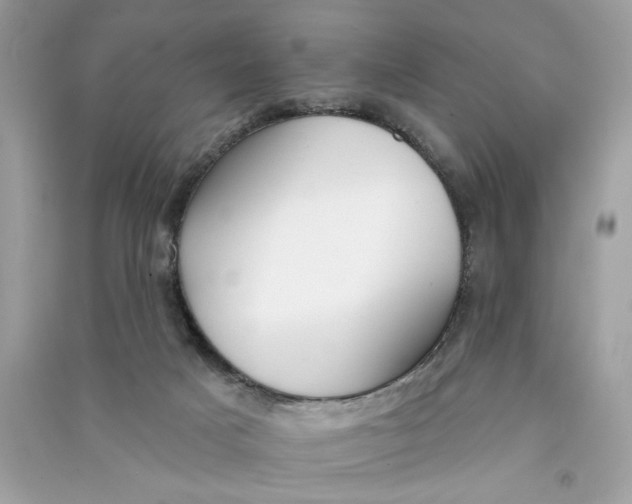 X0000090750025200708101735