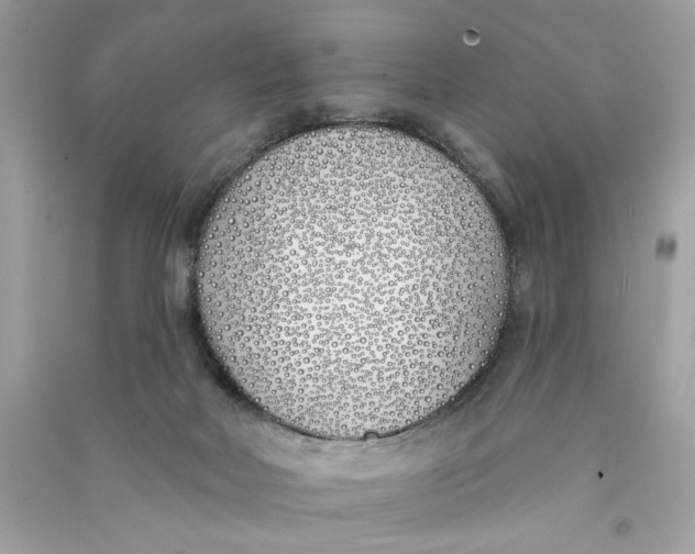 X0000090750026200708101735