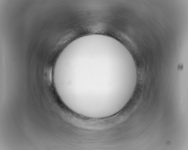 X0000090750028200708101734