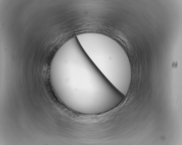 X0000090750029200708101734