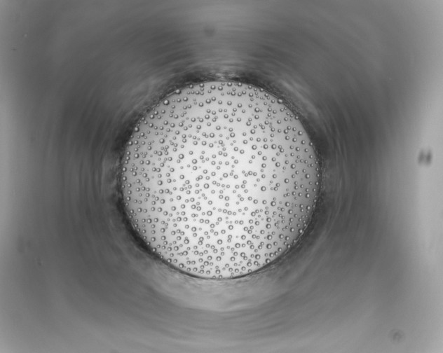 X0000090750030200708101734