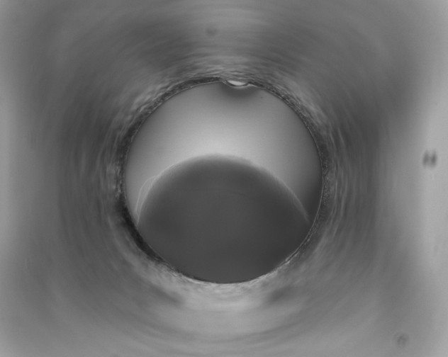 X0000090750031200708101734