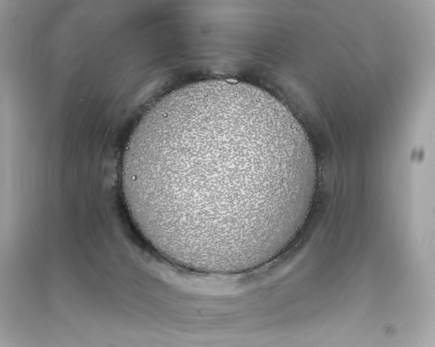X0000090750032200708101734