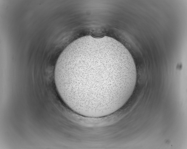 X0000090750034200708101734