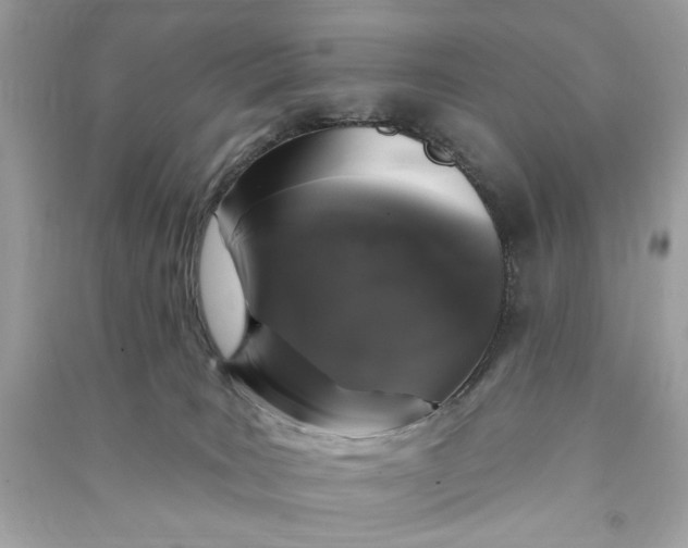 X0000090750035200708101734