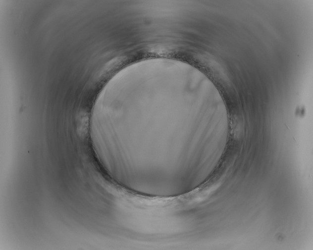 X0000090750036200708101734