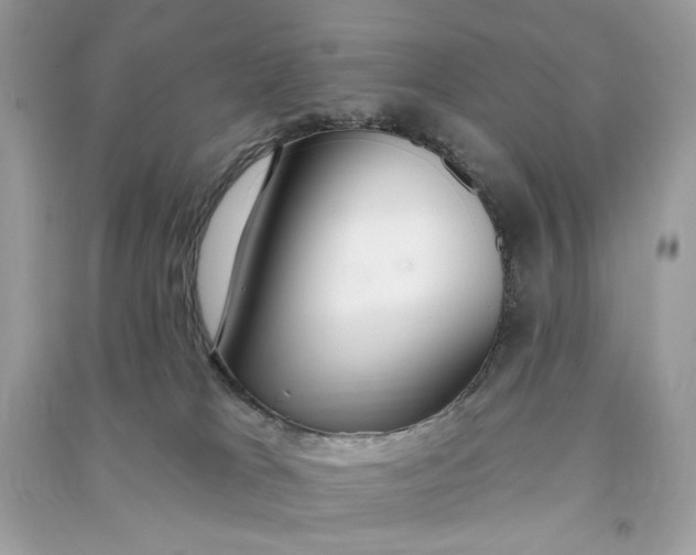 X0000090750037200708101734
