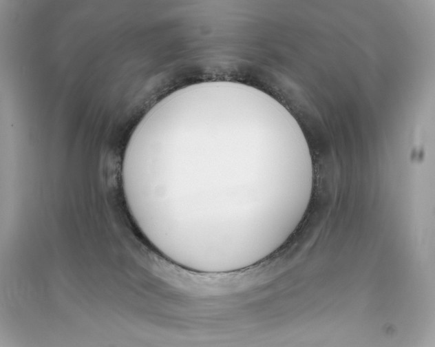 X0000090750038200708101734