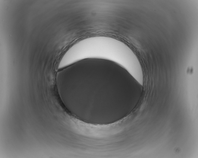 X0000090750039200708101734