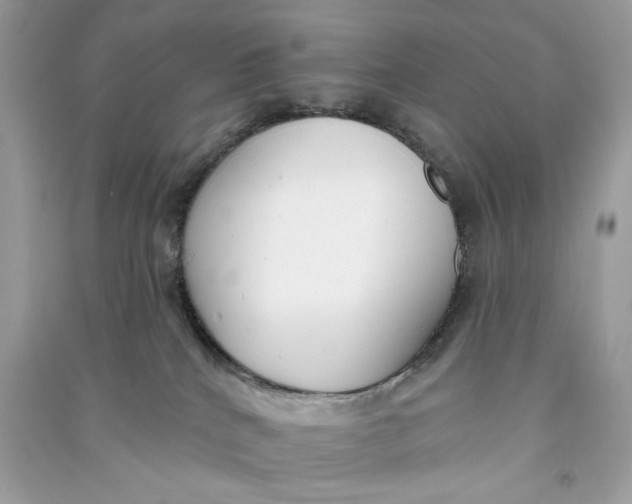X0000090750040200708101734
