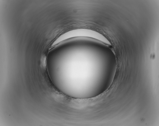 X0000090750041200708101734