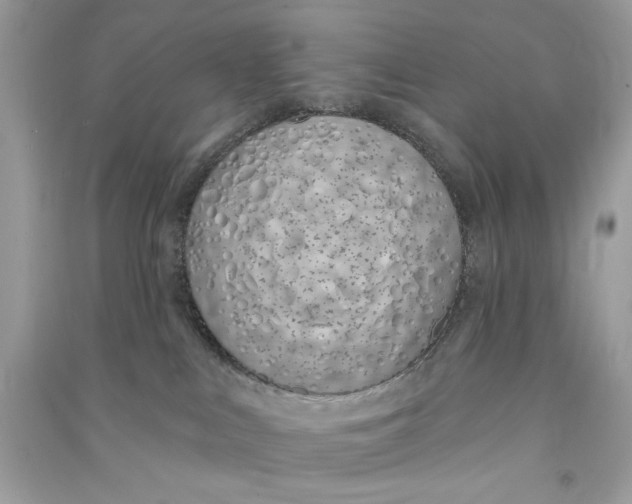 X0000090750043200708101734