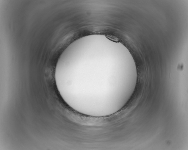 X0000090750044200708101734