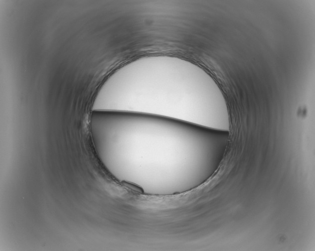 X0000090750045200708101734