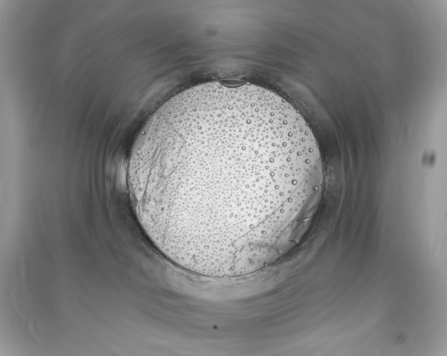 X0000090750046200708101734