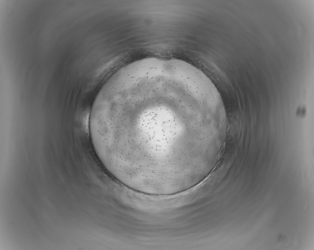 X0000090750047200708101734