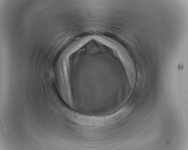 X0000090750048200708101734