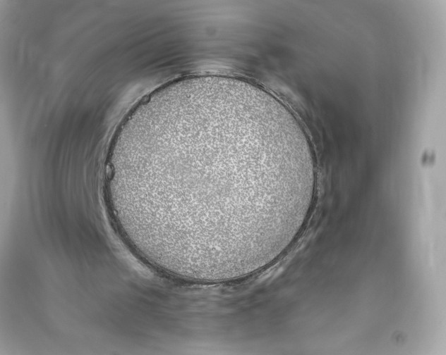 X0000090750049200708101734