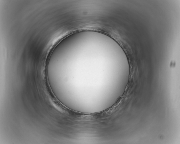 X0000090750050200708101734