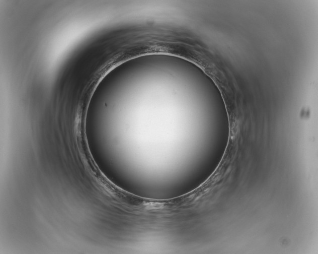 X0000090750052200708101734