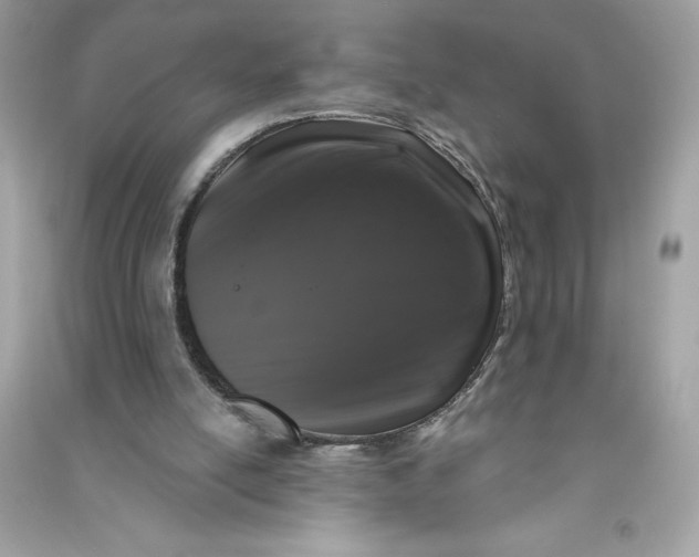 X0000090750054200708101734