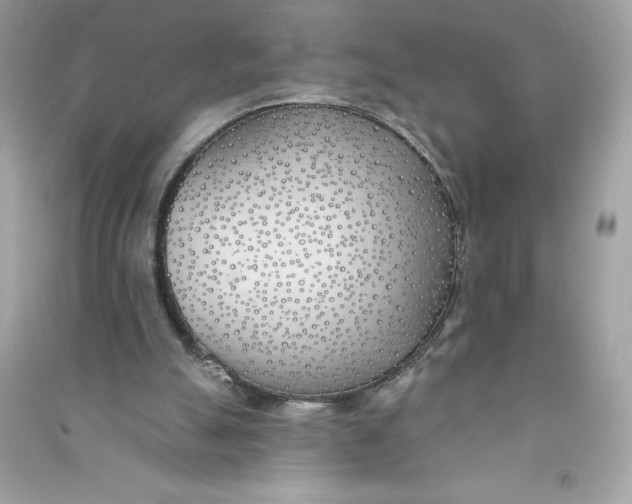 X0000090750055200708101734