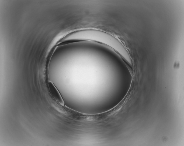 X0000090750056200708101734