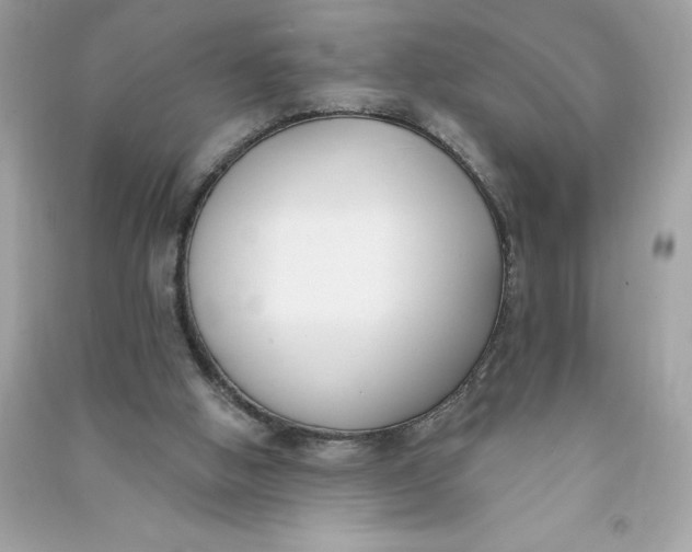 X0000090750058200708101734