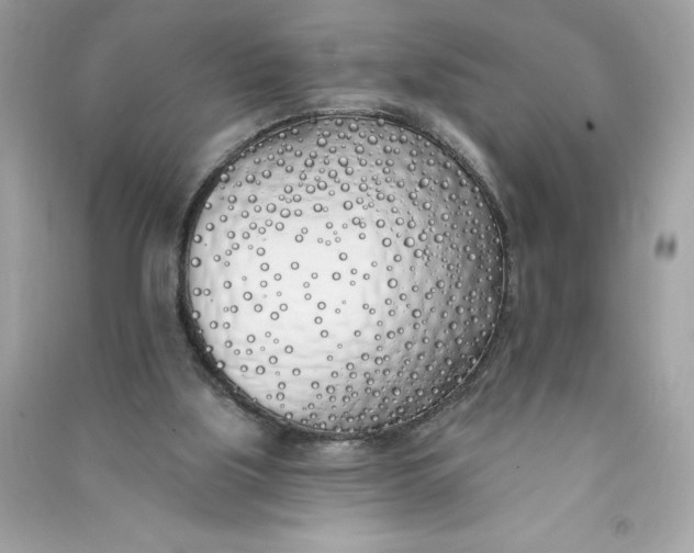 X0000090750059200708101734