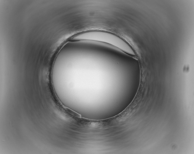 X0000090750060200708101734