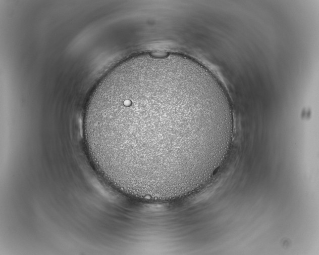 X0000090750061200708101734