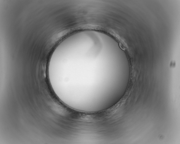 X0000090750062200708101734