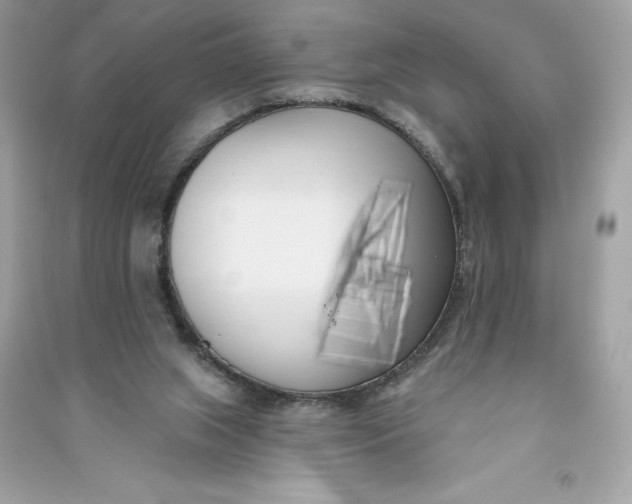 X0000090750063200708101734