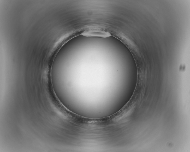 X0000090750064200708101734