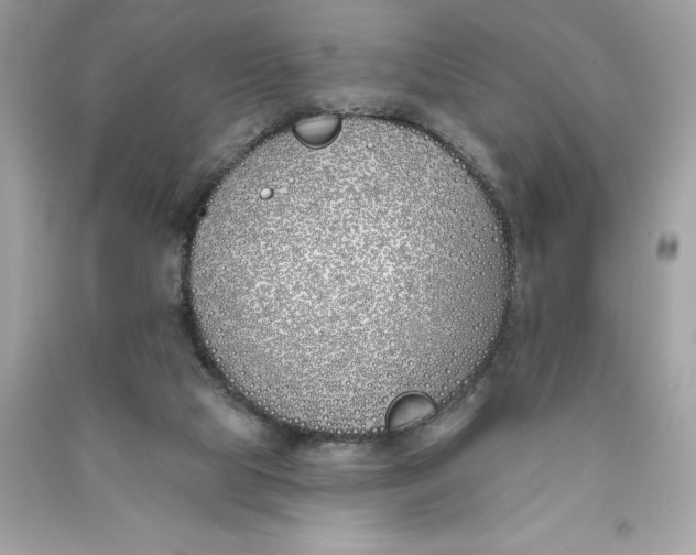 X0000090750065200708101734