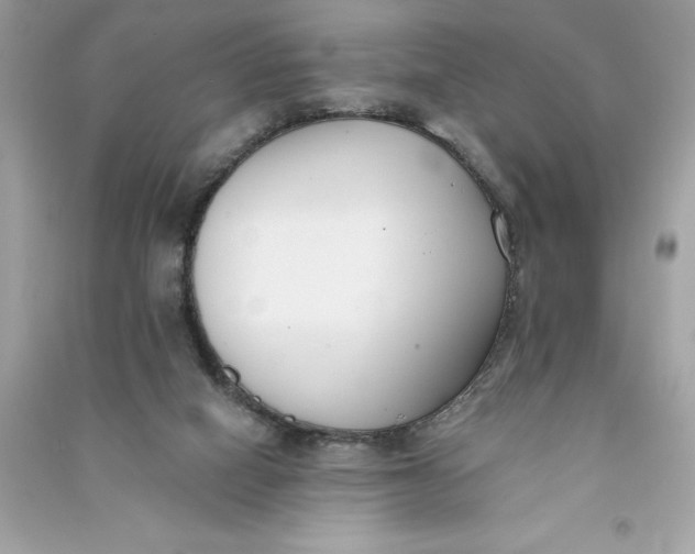 X0000090750066200708101734