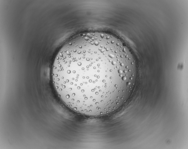 X0000090750067200708101734