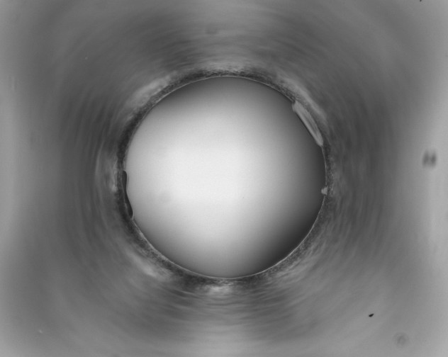 X0000090750068200708101734